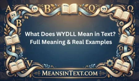 What Does WYDLL Mean in Text? Full Meaning & Real Examples What Does WYDLL Mean in Text